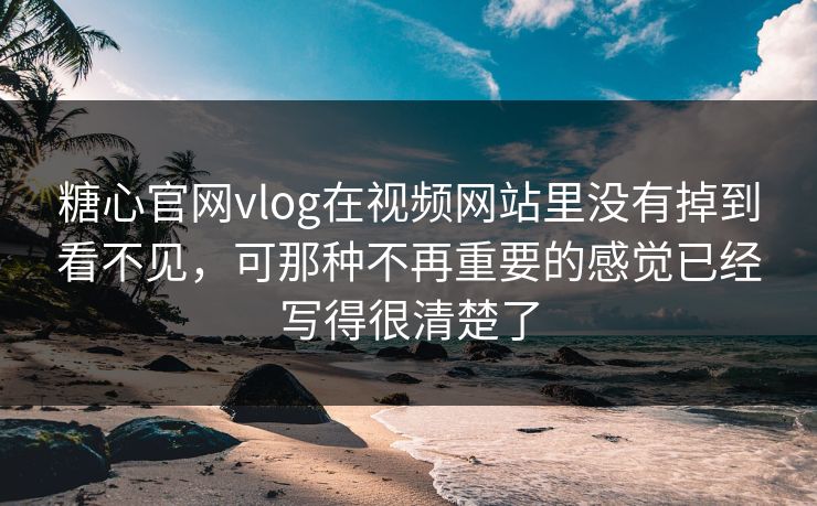 糖心官网vlog在视频网站里没有掉到看不见，可那种不再重要的感觉已经写得很清楚了