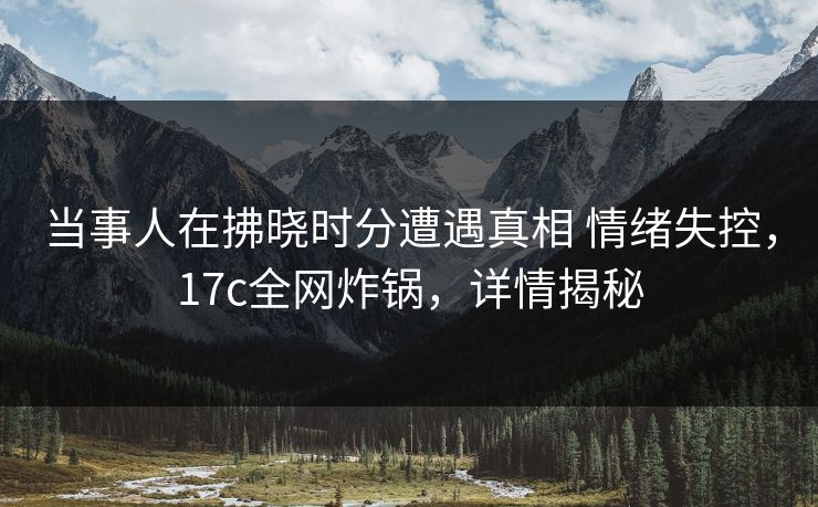 当事人在拂晓时分遭遇真相 情绪失控，17c全网炸锅，详情揭秘